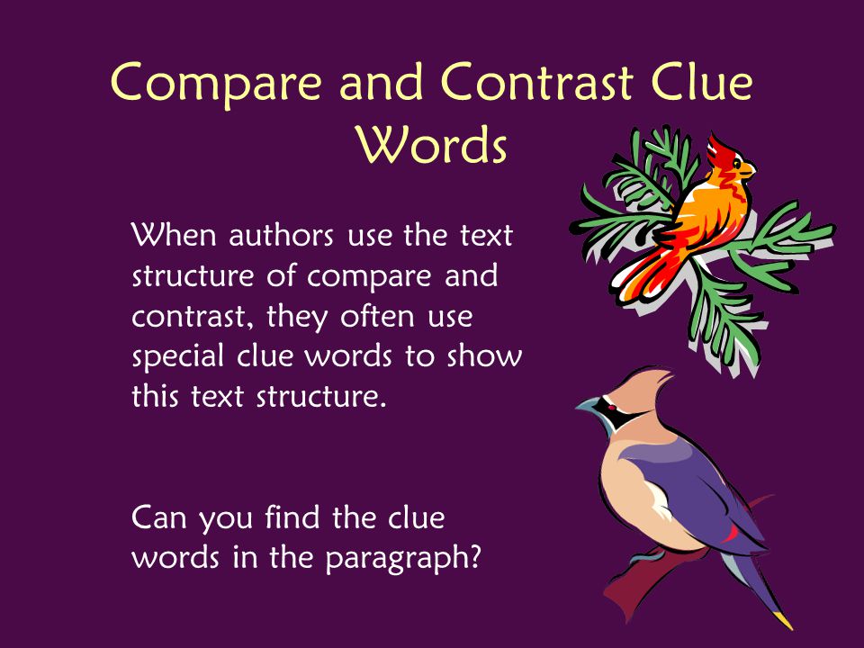 Compare and contrast essay 1500 words